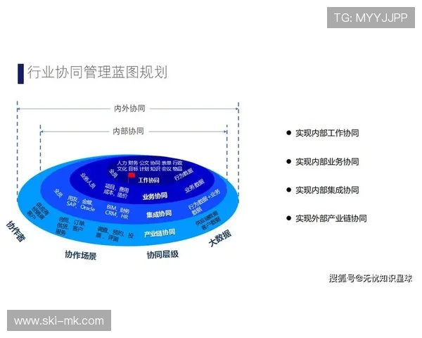 行业构建多平台协同分发机制，最大化内容传播效能